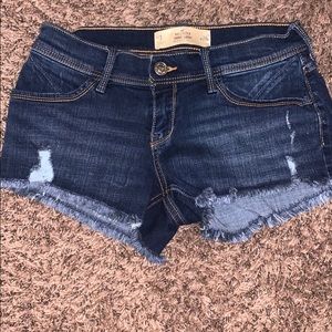 brand new holister shorts